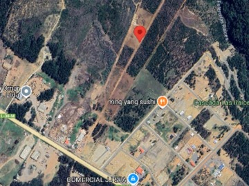 Venta / Parcela / Constitución