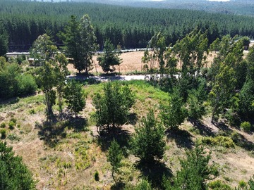 Venta / Parcela / Constitución