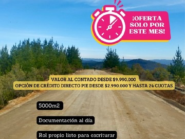 Venta / Parcela / Constitución