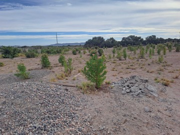 Venta / Parcela / Copiapó