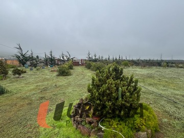 Imagen 15