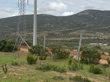 Imagen 5
