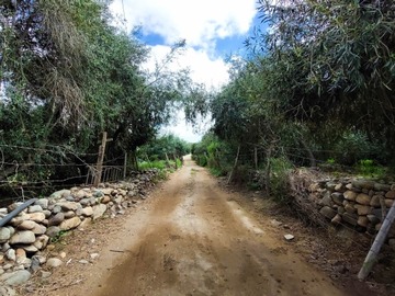 Imagen 14
