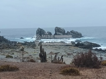 Imagen 4