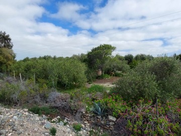 Venta / Parcela / Coquimbo