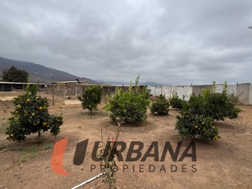 Imagen 9