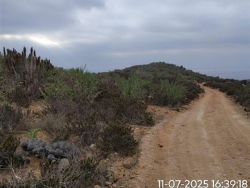 Imagen 6