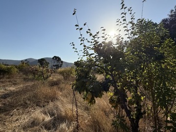 Imagen 8