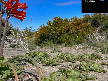 Imagen 7