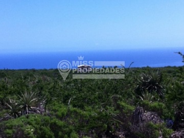 Imagen 9