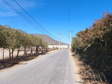 Imagen 6