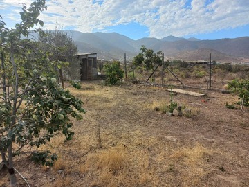 Imagen 12
