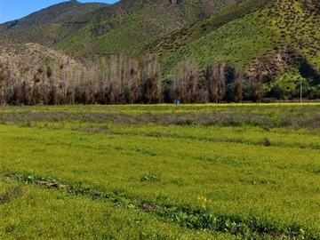 Venta / Parcela / Coquimbo