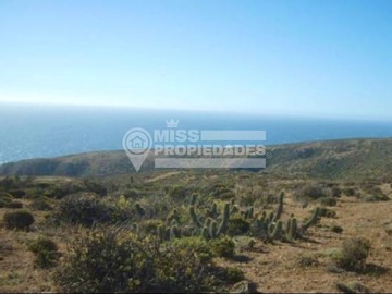 Imagen 7