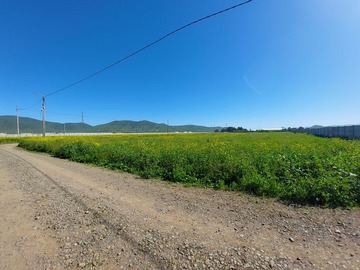 Venta / Parcela / Coquimbo