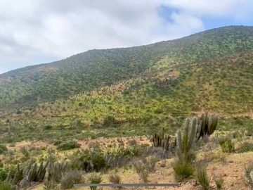 Venta / Parcela / Coquimbo