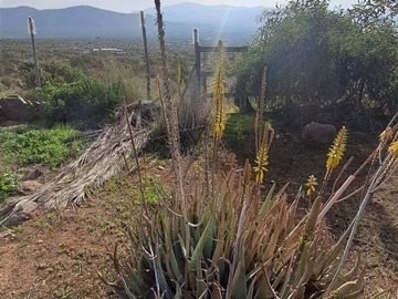 Imagen 27