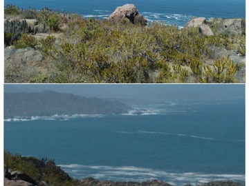 Venta / Parcela / Coquimbo