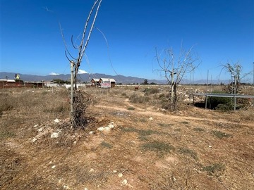Imagen 21