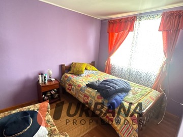 Imagen 13