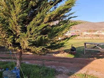 Imagen 6