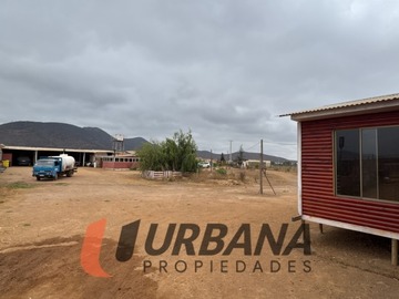 Imagen 10