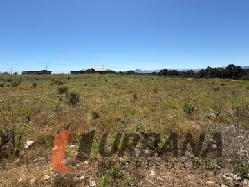 Imagen 9
