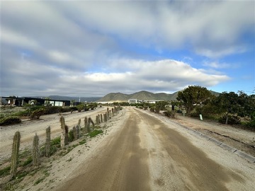 Imagen 5