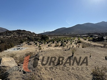 Imagen 9