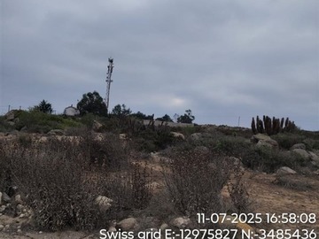 Imagen 21