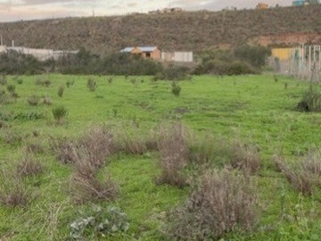 Imagen 23