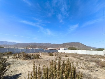 Imagen 7