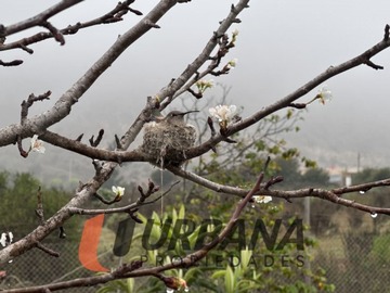 Imagen 18