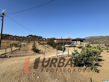 Imagen 12