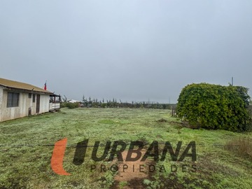 Imagen 7