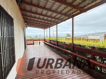 Imagen 12