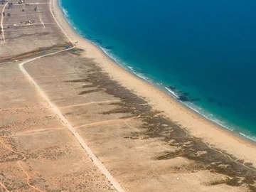 Venta / Parcela / Coquimbo