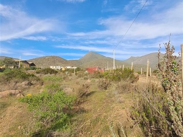 Imagen 17