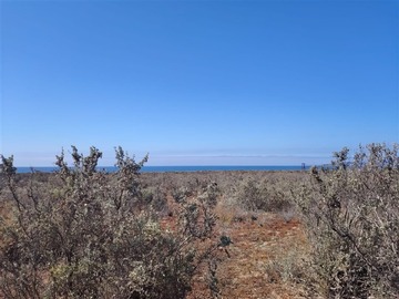 Venta / Parcela / Coquimbo