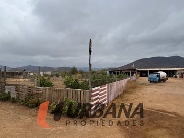 Imagen 11