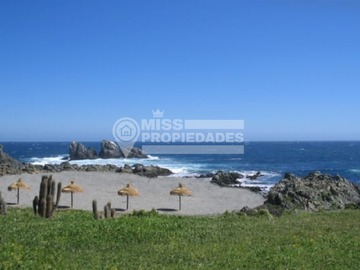 Imagen 5