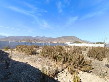 Imagen 11