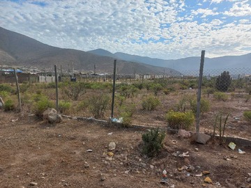 Imagen 5
