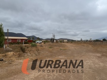 Imagen 6