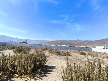 Imagen 8