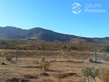 Imagen 7