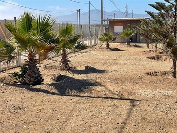 Venta / Parcela / Coquimbo