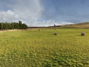 Venta / Parcela / Coyhaique