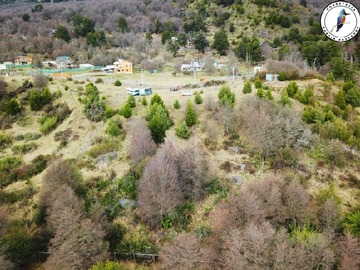 Imagen 6