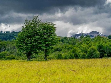 Venta / Parcela / Coyhaique